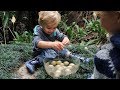 Real egg hunt adventure in nature for kids I CHICKEN ATTACK