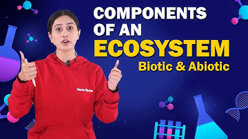 Components of an Ecosystem | Biotic and Abiotic | Biology | Class 8 ICSE | Home Revise