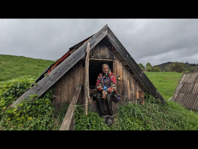 The difficult life of a 93-year-old grandmother in the mountains far from civilization. class=