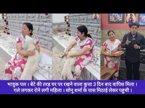 भावुक पल । बेटे की तरह घर पर रखने वाला कुत्ता 3 दिन बाद वापिस मिला । गले लगकर रोने लगी महिला । 