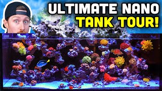 INCREDIBLE Desktop Nano Tank Tour with UNIQUE Aquascape!