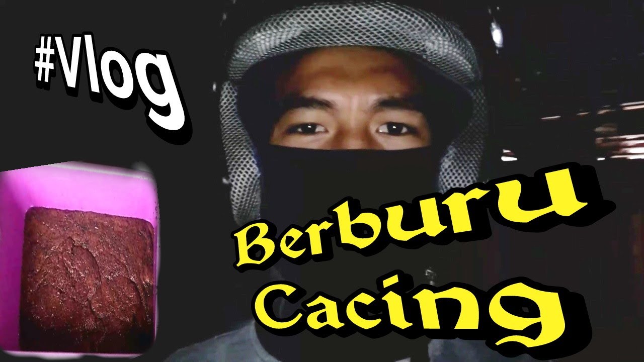 BELI CACING TERNAK BUAT PAKAN LELE 