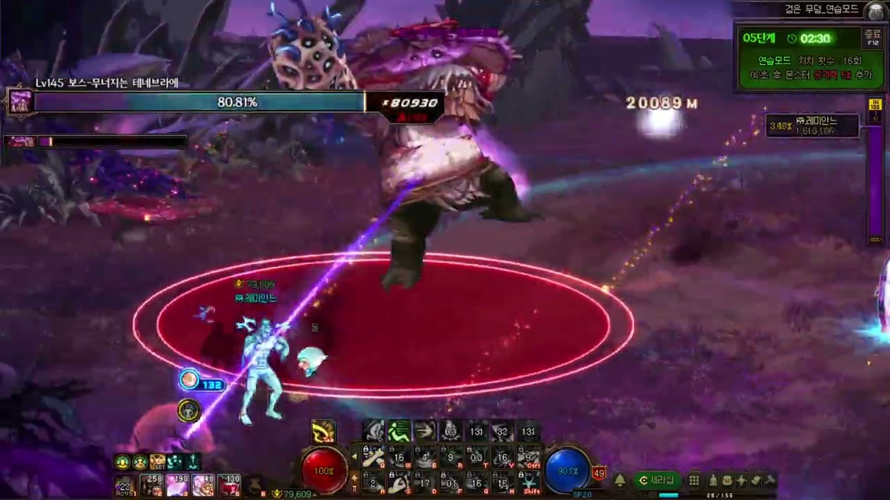 [던파] 인파 월드보스 2패턴 202만점