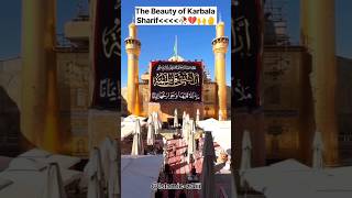 Dariya Hai Hamara ||💔🙌 #noha #nadeemsarwar #trending #ytshorts #islamicshorts #yaali #status #viral