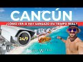 ASÍ PUEDES VER EN TIEMPO REAL SI HAY SARGAZO EN CANCÚN | WEBCAM CANCUN | SEBITASTRIP