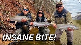 Muddy Water MADNESS: Niagara River STEELHEAD EVERYWHERE!