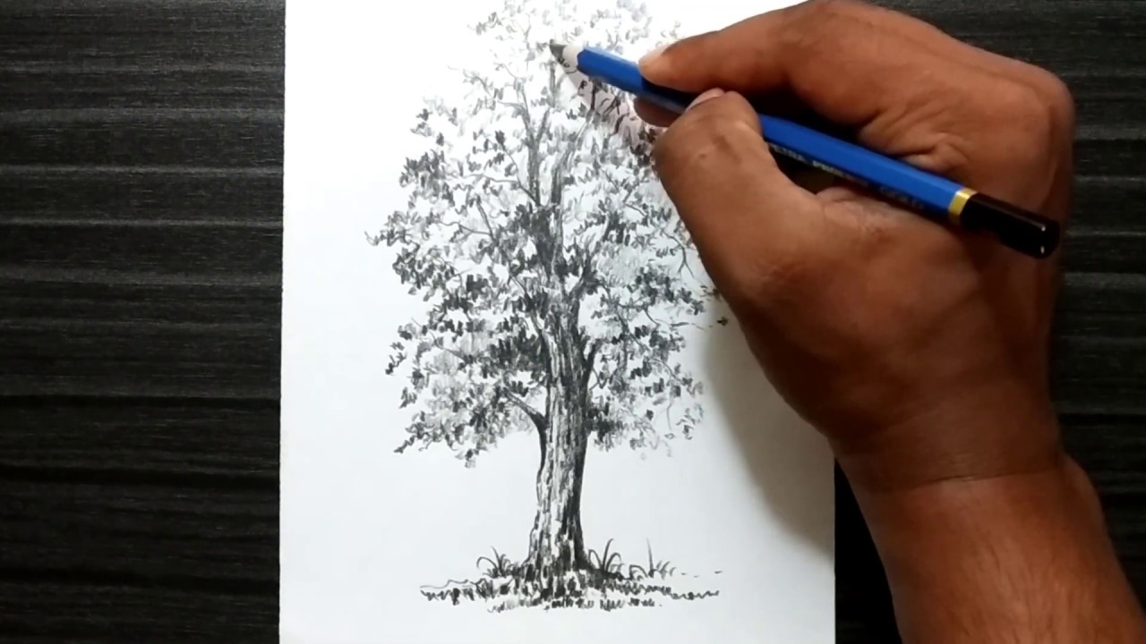 #Art139 | How to draw tree silhouette step by step | How to draw a tree ...