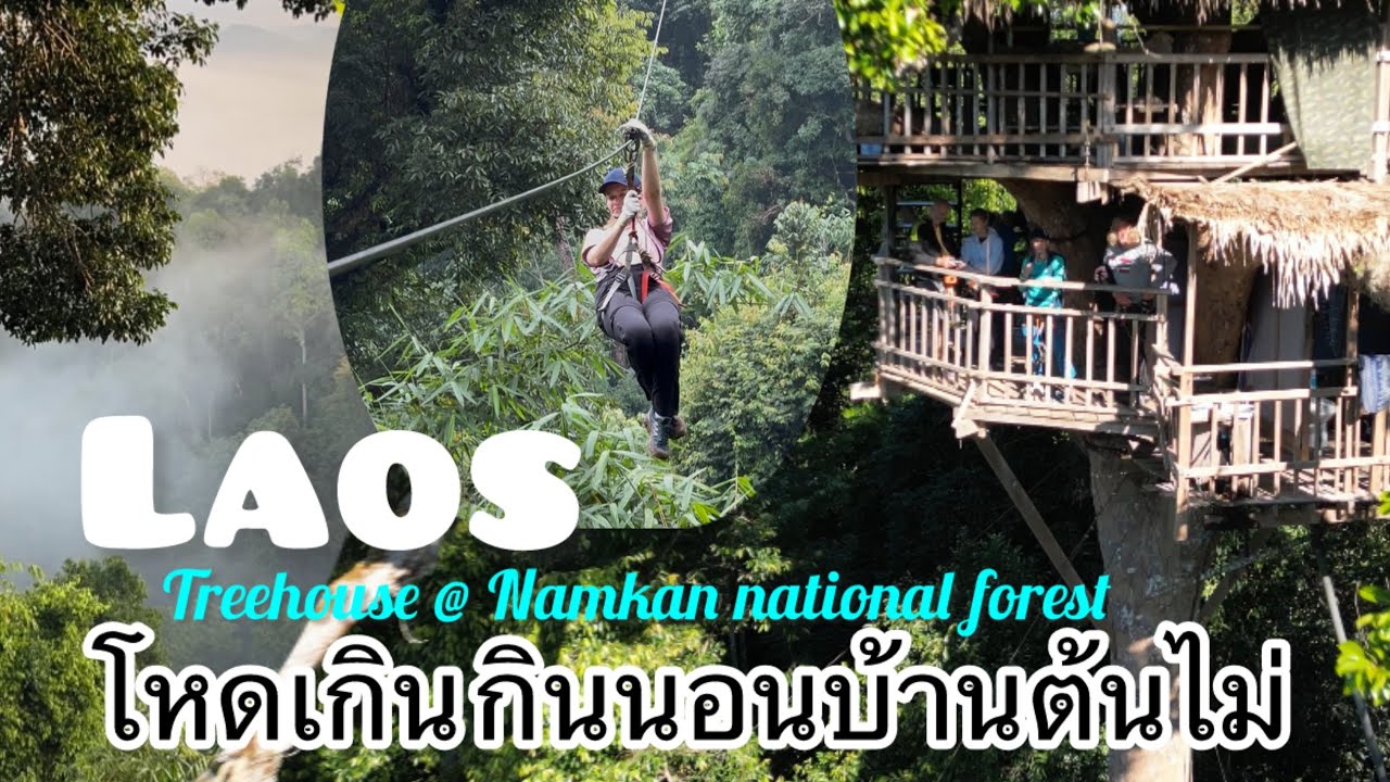 ສາຍພະຈົນໄພ ເດີນປ່າ ໂຫນສະຫຼິງ เดินปาโหนสระหลิง  นอนบ้านต้นไม่ Treehouses in Namkan national forest