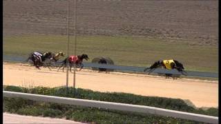 Strathalbyn-04032016-Race-8