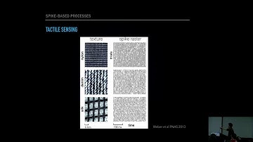 Investigating the Spike-Based Computations of the Brain