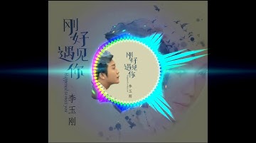 Bài Hát Hot Nhất (2018) - | Gang Hao Yu Jian Ni 剛好遇見你_Li Yu Gang 李玉剛 |