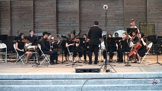 Apex High School String Ensemble perform Sing Sing Sing on 4/28/2019