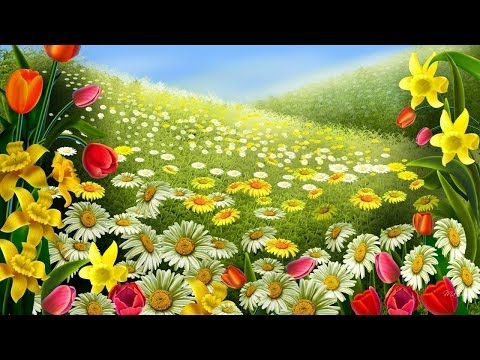 Beautiful Flower Wallpaper