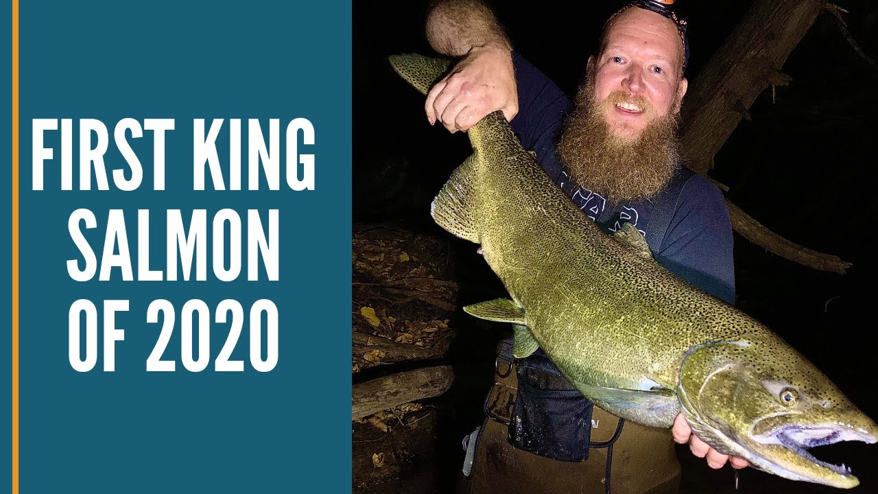 First King Salmon Of 2020 Michigan Fishing / Night Fishing For Chinook