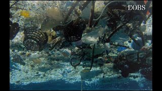 Plastique : tour du monde choc de la pollution des océans