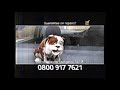 2005 Churchill Car Insurance TV Commercial 