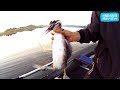 Несчастный случай на рыбалке  Освобождение живности из сетей | Fishing Lures Review