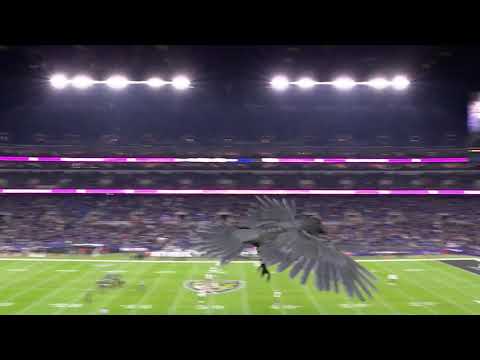 Mixed-reality feature with The Famous Group and Baltimore Ravens