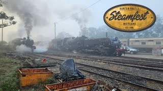 Hunter Valley Steamfest 2024 - Day 2