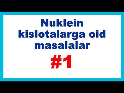 Video: Nuklein kislotalarning tuzilishi va vazifasi nimadan iborat?