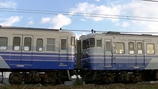 塗装の違いが際立つ115系新ﾆｲN38+N28編成　信越本線449M
