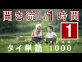 タイ語レッスン 1000語 聞き流して覚える👂 第1回  1時間【日本語→カタカナ・タイ語】🇹🇭🇯🇵