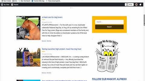 RSS feed in WordPress