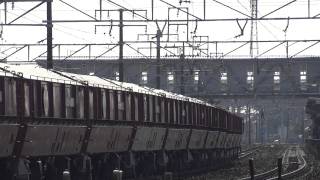 踏切鳴動開始 運転再開 JR貨物 EF64-1017 貨物列車(臨8785レ 赤ホキ)清洲駅