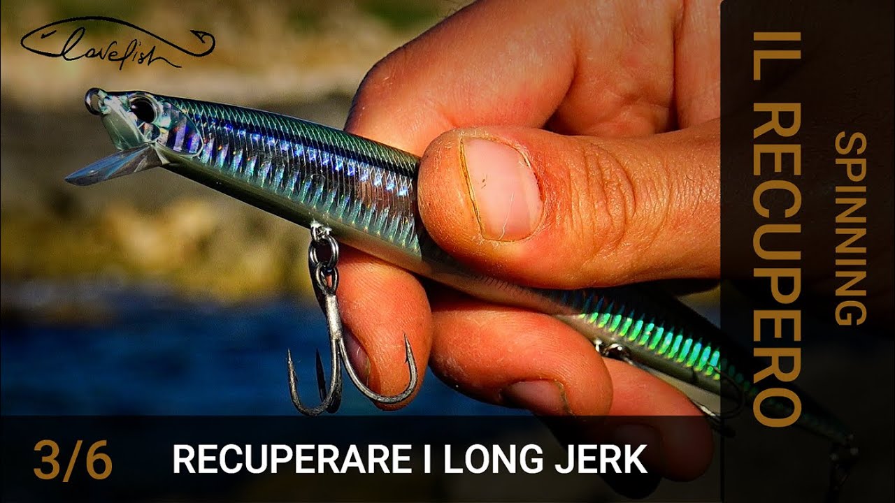 Pesca A TRAINA Con Esca MORTA: Ricciole E Dentici - Foto 13