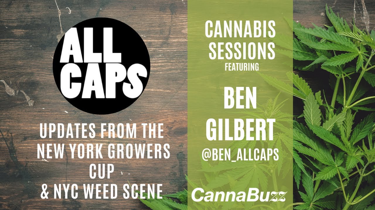 New York Growers Cup & NYC Weed Scene Update from Ben Gilbert, ALL CAPS