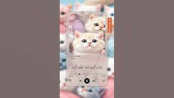 سورة سبأ❤☘ #تلاوة_خاشعة #المصحف #ارح_قلبك #حالات_واتس #دويتو #اكسبلور #2ksubscribers