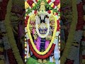 🌺 ஸ்ரீ வெங்கடேசாய நமஃ 🌺 #tirumala #tirupatibalaji #govinda #balaji #venkateswara #shorts #ytshorts