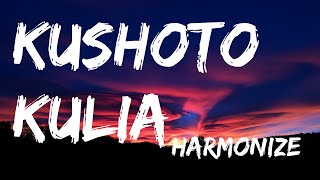 Harmonize - Kulia Kushoto   Lyrics video