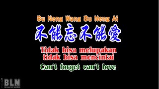 Bu Neng Wang Bu Neng Ai  - 不能忘不能爱  - Terjemahan - Lirik - Karaoke -Thanks for your support❤️dan🔔