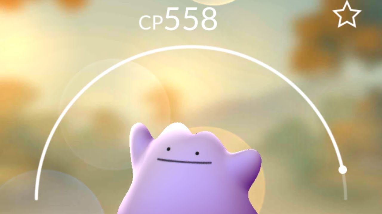 Highest Cp Ditto In The Wild / How To Find One In Pokémon Go YouTube
