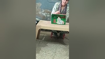 IGNOU DECE 4 project video phase 2 activity 27(a) (puppet show) 2025