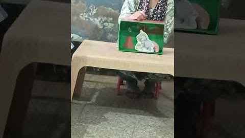 IGNOU DECE 4 project video phase 2 activity 27(a) (puppet show) 2025