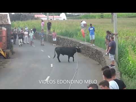 Tourada à corda na Graciosa, 27 de agosto de 2022