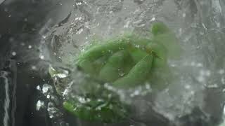 4K Green Beans | Cooking | Boiling | Pot | Free Stock Video Footage [ No Copyright ] screenshot 2