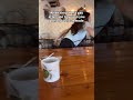 Ref:F9y013exGwc Cat mode at the cafe @imthe_annag