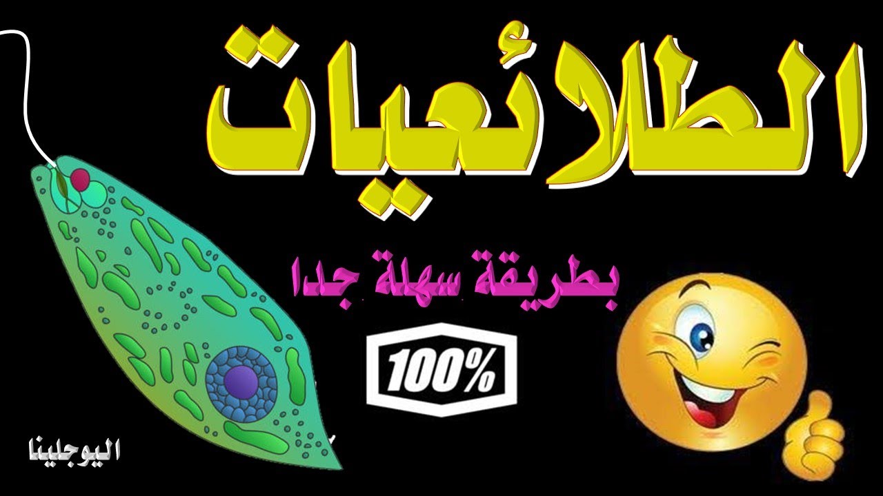 الطلائعيات الحيوانية النباتية الفطرية الاميبا البراميسيوم الاهداب  الطحالب العلوم الصف السابع