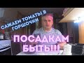 Сажаем своими руками рассаду томатов в горшки Канал "Не разлей Вода" продолжает эксперимент 9 серия