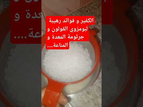 الكفير او الفطر الهندي صديق المعدة و القولون العصبي و مصنع البروبيوتيك الكفير