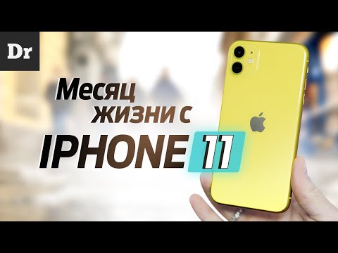 Video: Vse, Kar Morate Vedeti O Novem IPhone 11