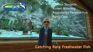 *Discontinued Techniques, Use Rare Playlist* Real VR Fishing Catching the Rare Freshwater Fish
