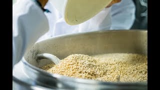 Studierende Brauen Bier Mit Regensburger Flusswasser