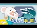 地科小知識 為什麼會有海嘯 小行星樂樂TV 地科小知識 為什麼會有海嘯 小行星樂樂TV