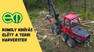 Sűrű, akácos gyérítésben bizonyított a TERRI harvester - Erdészeti gépbemutató Zalában