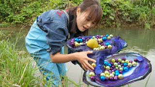 ⭕️Pearl Treasure‼️The Girl Explores The Giant Clam And Is Attracted By The Shining Pearl Light