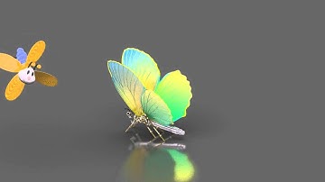 Creo Animation: Two 3D butterflies - Created and rendered with Creo Parametric 1.0